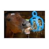 Blue plastic hay feeder with horseshoe design and hanging loop for horsemen’s pride jolly hay ball use