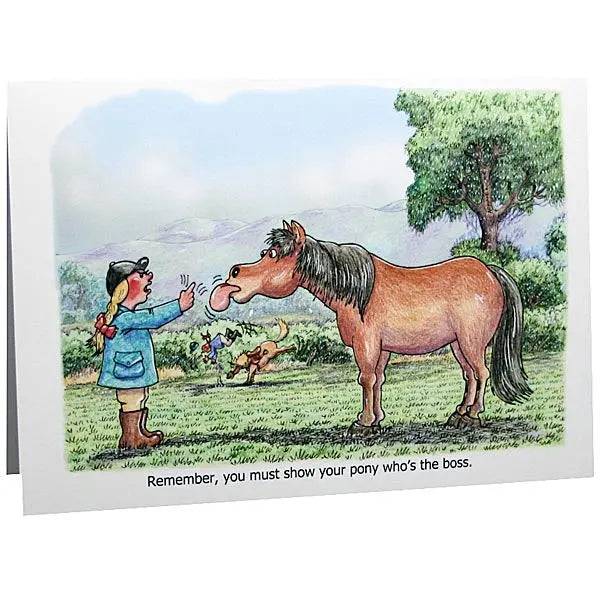 Horses and Ponies Greeting Cards By Armand Foster Show-How-s-Boss Gifts Barnstaple Equestrian Supplies