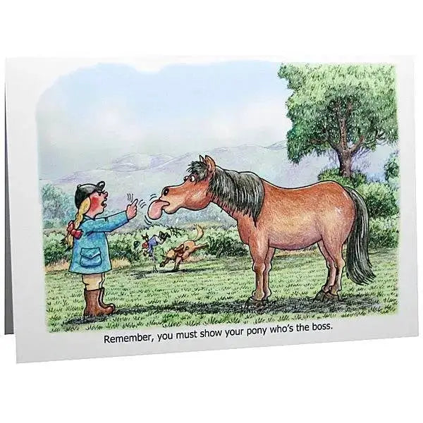 Horses and Ponies Greeting Cards By Armand Foster Show How'S Boss Gifts Barnstaple Equestrian Supplies