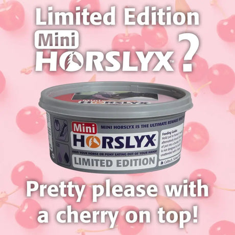 Horslyx Mini Cherry - Limited Edition Horse Licks Barnstaple Equestrian Supplies