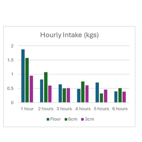 Table of Hourly Intake