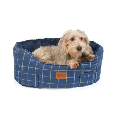 Blue plaid paws check tweed oval snuggle bed with soft cushioned interior and sturdy fabric for cozy pets