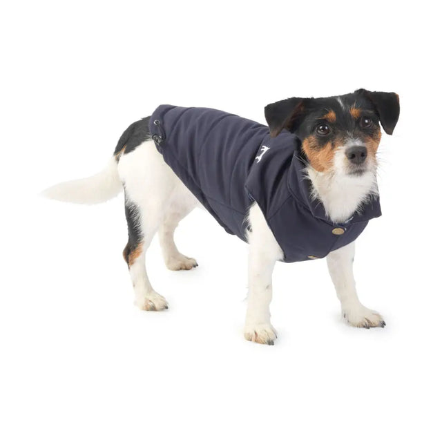 Navy blue fleece lined gilet for dogs with button closures and a small embroidered logo on the chest by house of paws