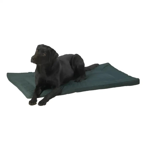 Dark green rectangular dog bed with plush cushioned surface house of paws water resistant crate mat