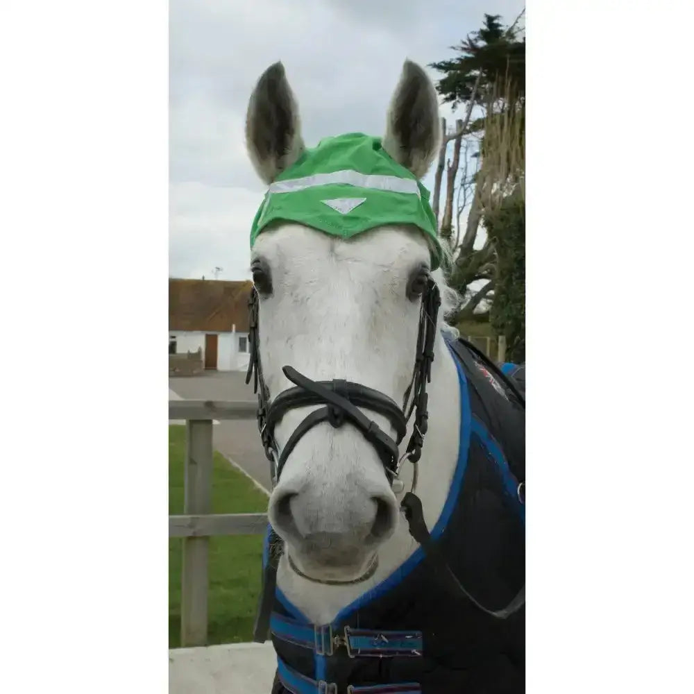 A white horse wearing hozhatz reflective ear green protective horse ear bonnets with black bridle equipment