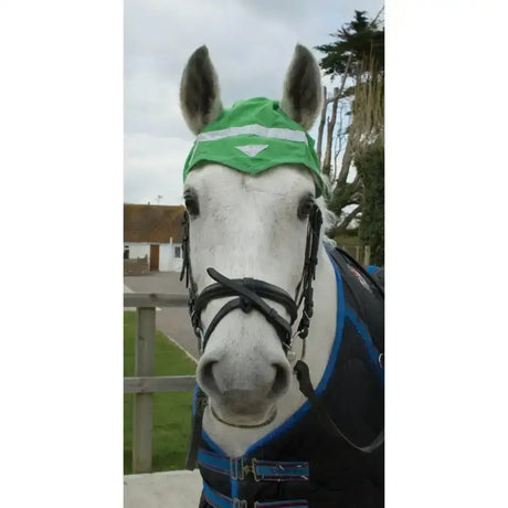 A white horse wearing hozhatz reflective ear green protective horse ear bonnets with black bridle equipment