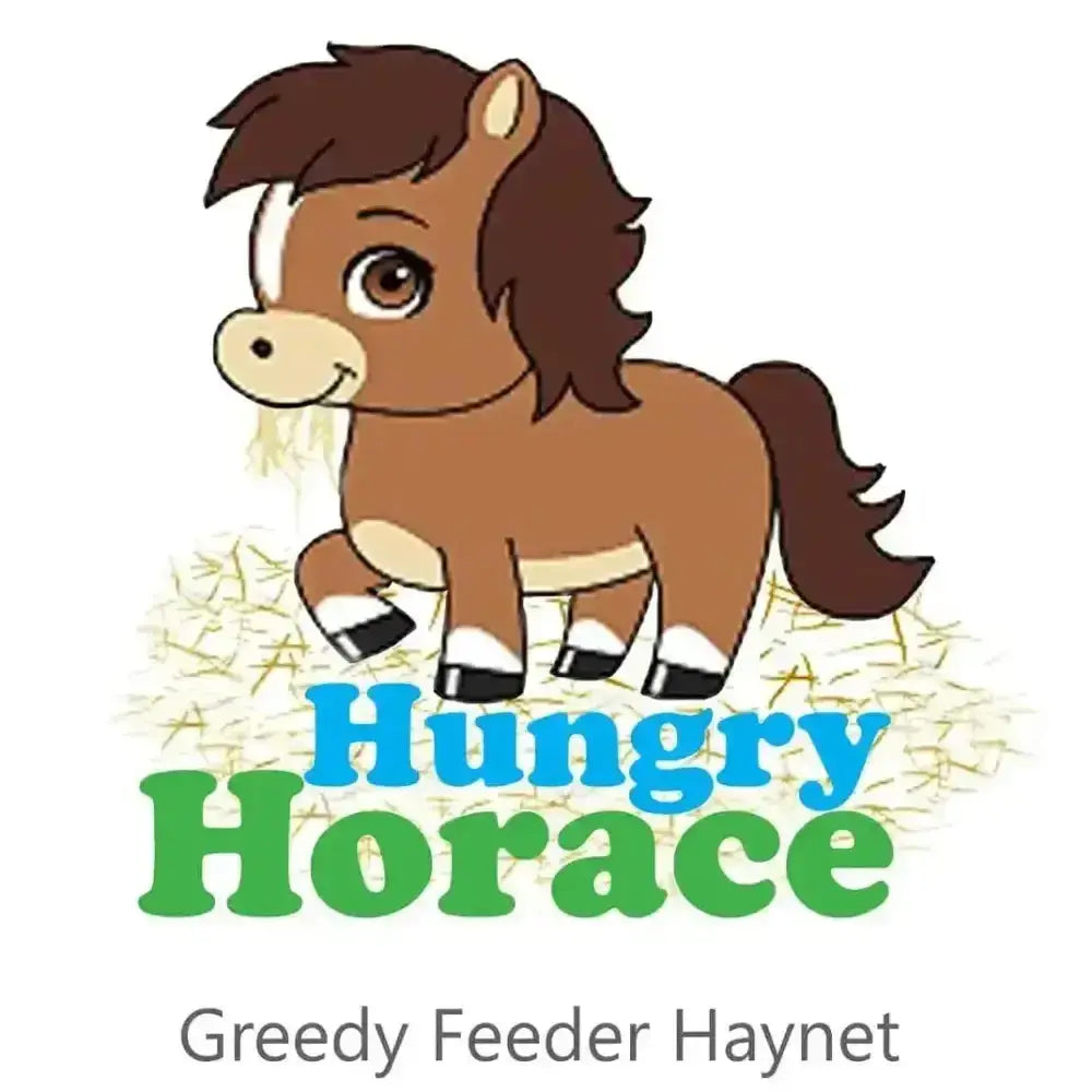 A cartoon brown pony with white markings standing on hay next to the hungry horace greedy feeder haynet product
