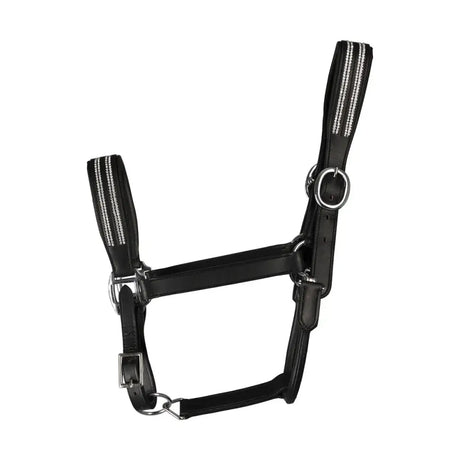 Hy Equestrian Anodize Leather Head Collar Black/Silver Pony Headcollars Barnstaple Equestrian Supplies