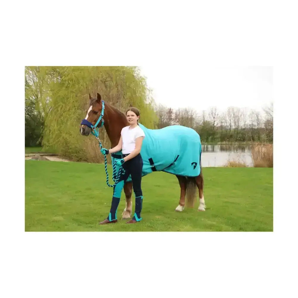 A brown horse wearing a vibrant turquoise blanket with black trim showcasing hy equestrian belton children’s style