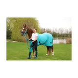 A brown horse wearing a vibrant turquoise blanket with black trim showcasing hy equestrian belton children’s style