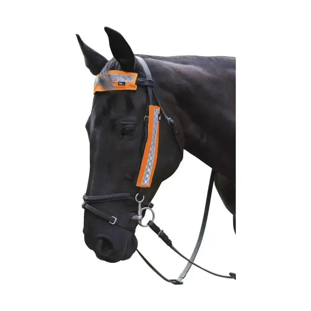 Black horse wearing an orange reflective equestrian bridle set by hy equestrian designed for safe riding fits most horses