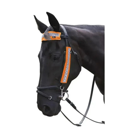 Black horse wearing an orange reflective equestrian bridle set by hy equestrian designed for safe riding fits most horses