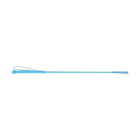 Light blue plastic bright riding whip with looped handle and tapered end from hy equestrian