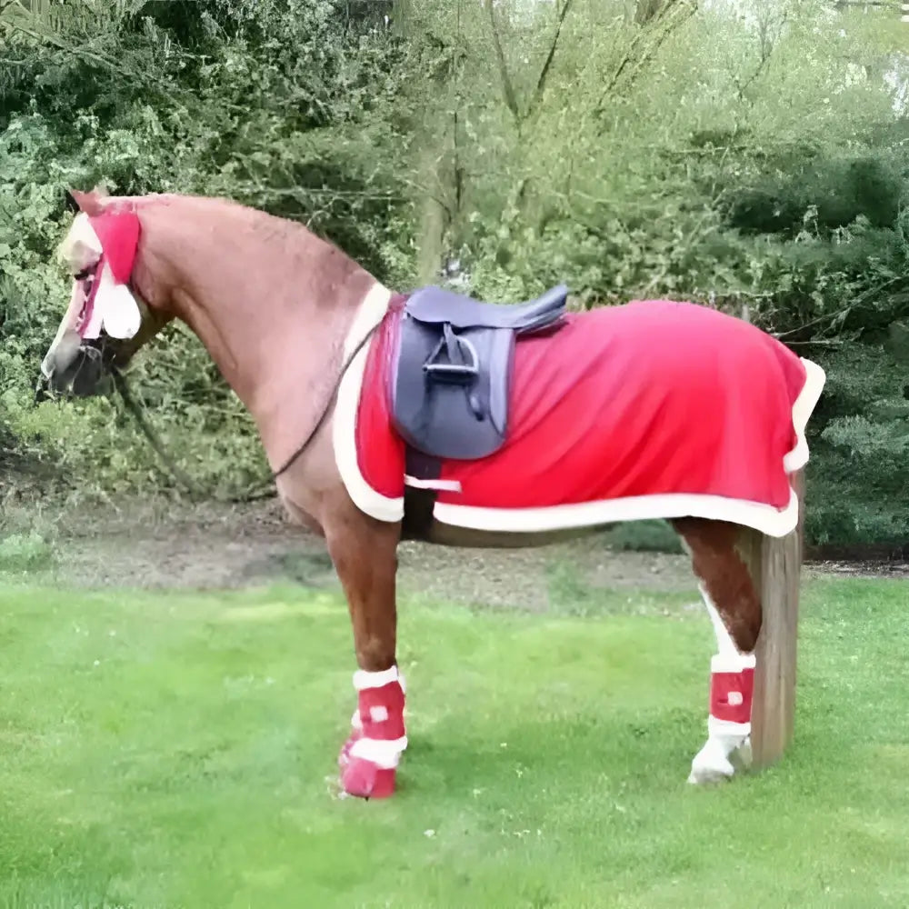 A brown horse wearing a hy equestrian christmas santa exercise sheet in red with synthetic white fur trim and matching leg wraps