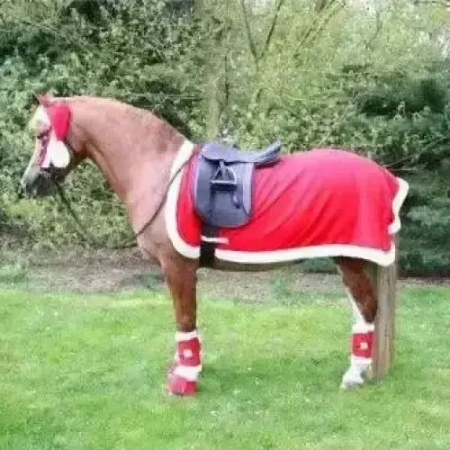 Hy Equestrian Christmas Santa Exercise Sheet 4'6" Exercise Sheets
