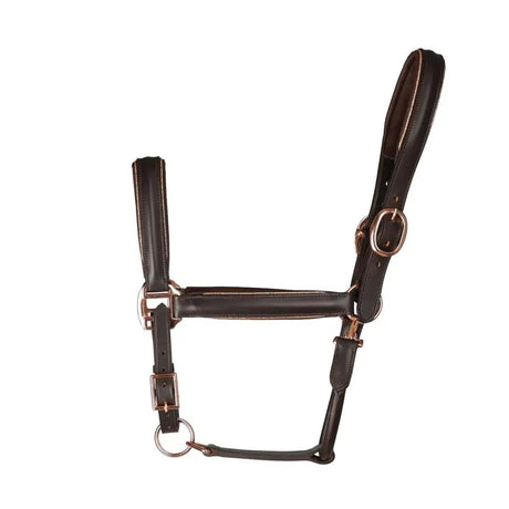 Hy Equestrian Chromatic Leather Head Collar Brown Pony Headcollars Barnstaple Equestrian Supplies