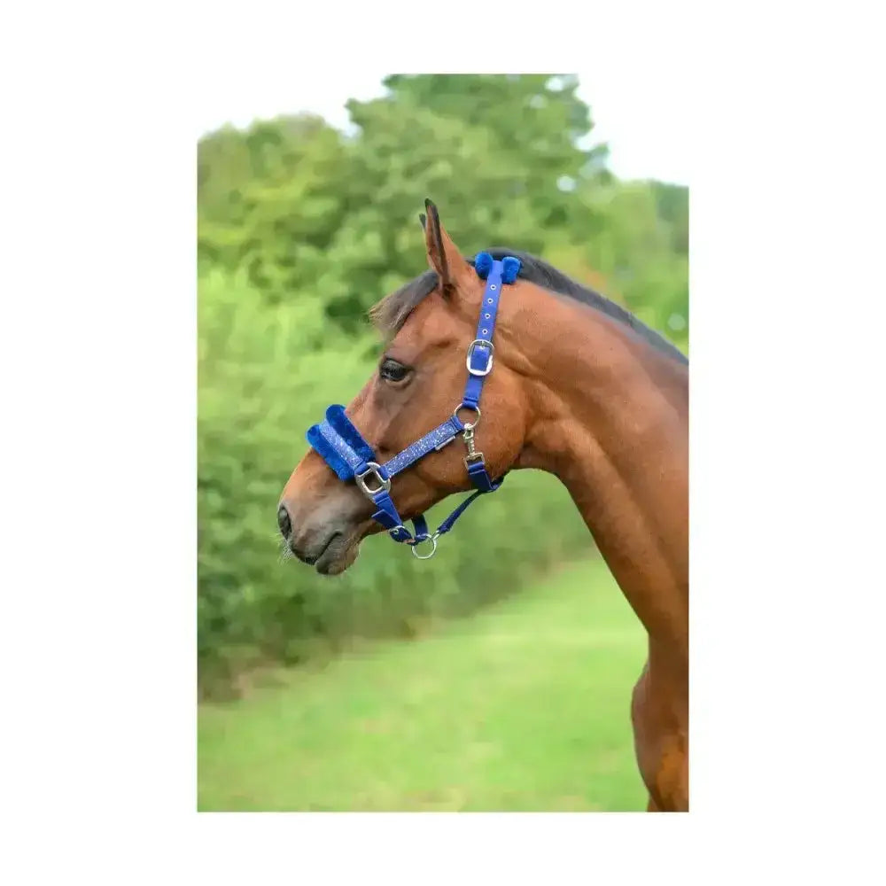 Blue glittery hy equestrian dazzle head collar with silver hardware and intricate star detailing for horses
