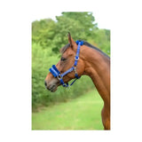 Blue glittery hy equestrian dazzle head collar with silver hardware and intricate star detailing for horses