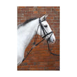 Hy Equestrian De Gouge Black Cob/Full Training Barnstaple Equestrian Supplies