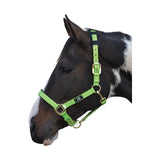 Hy Equestrian Deluxe Padded Head Collar Black Cob Barnstaple Equestrian Supplies
