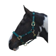 Hy Equestrian Deluxe Padded Head Collar Bottle Green Cob Headcollars Barnstaple Equestrian Supplies