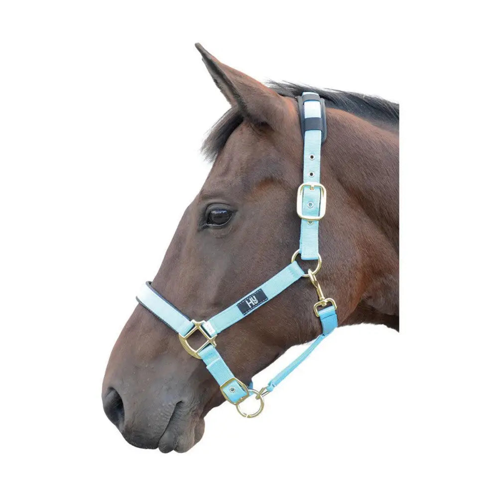 Hy Equestrian Deluxe Padded Head Collar Bright Blue Cob Headcollars Barnstaple Equestrian Supplies