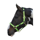 Bright lime green leather equestrian deluxe padded head collar with solid brass throat and black brand tag