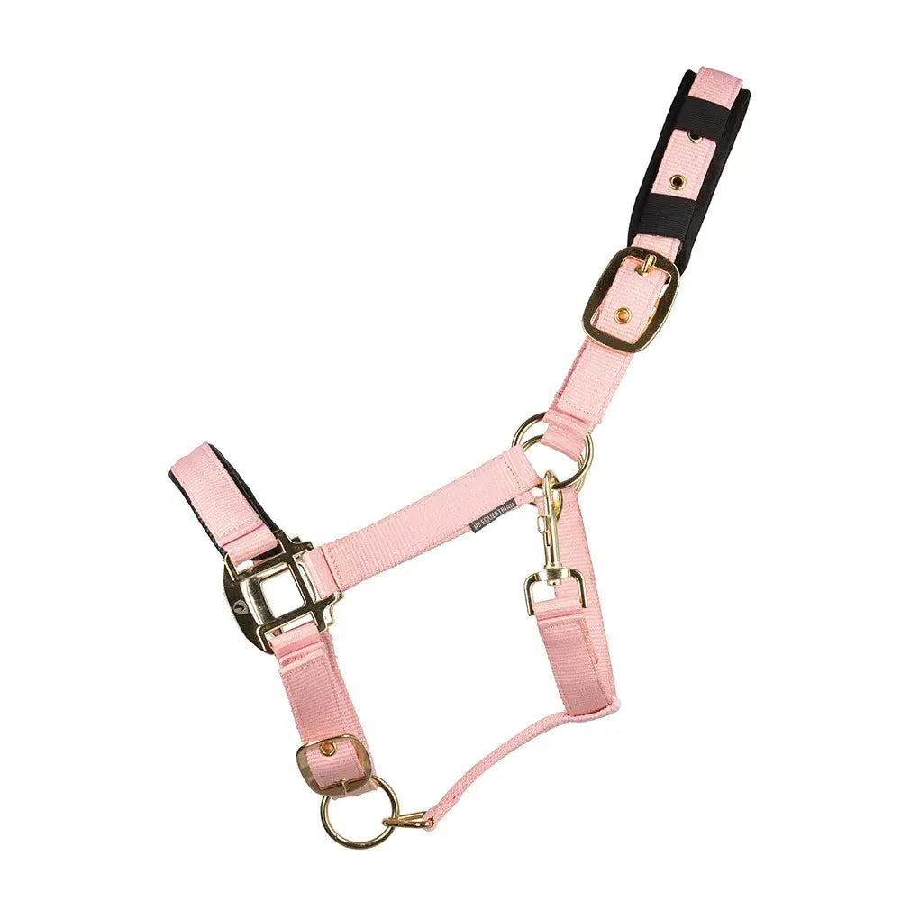 Pink hy equestrian deluxe padded head collar with black trim and solid brass throat metal hardware