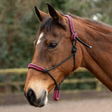 Pink and black braided horse halter with knotted detailing from Hy Equestrian double braid rope halter collection