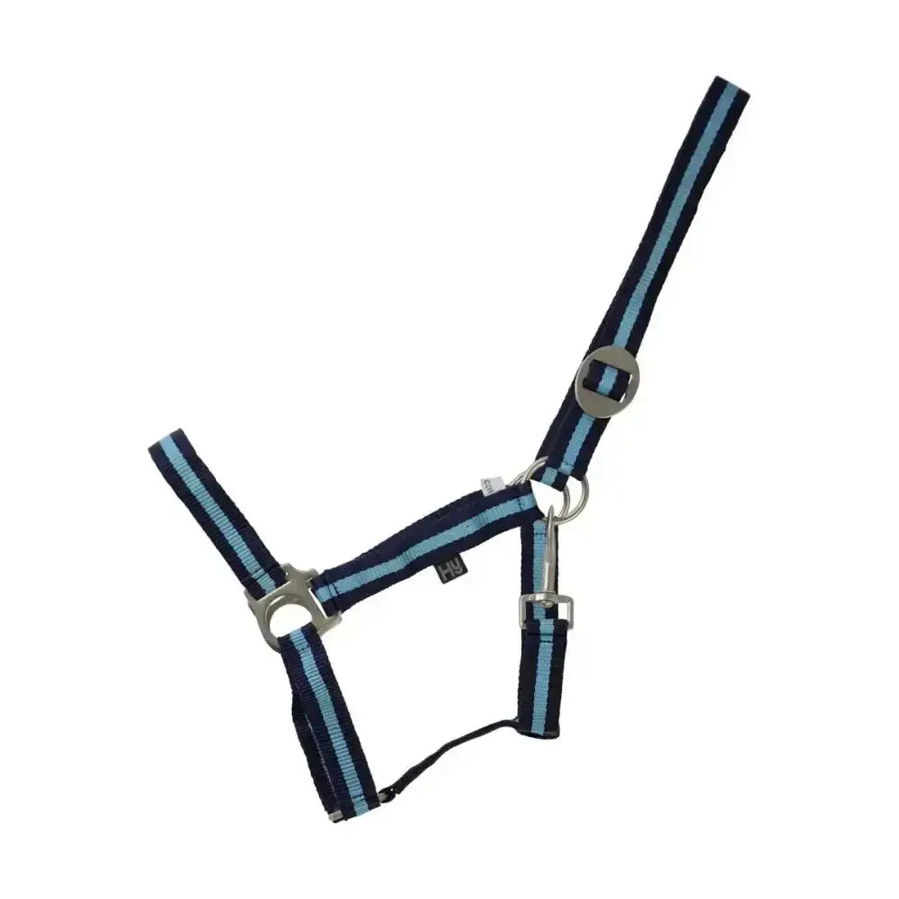 Navy blue and light blue striped nylon duo head collar with silver hardware and adjustable webbing head for horses
