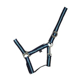 Navy blue and light blue striped nylon duo head collar with silver hardware and adjustable webbing head for horses
