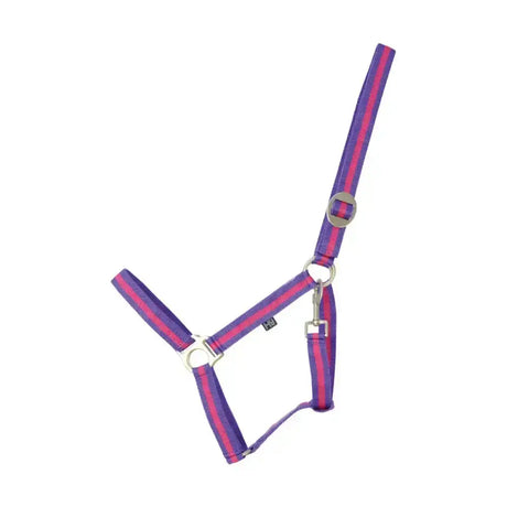 Purple and pink striped nylon duo head collar with silver hardware adjustable webbing head by hy equestrian