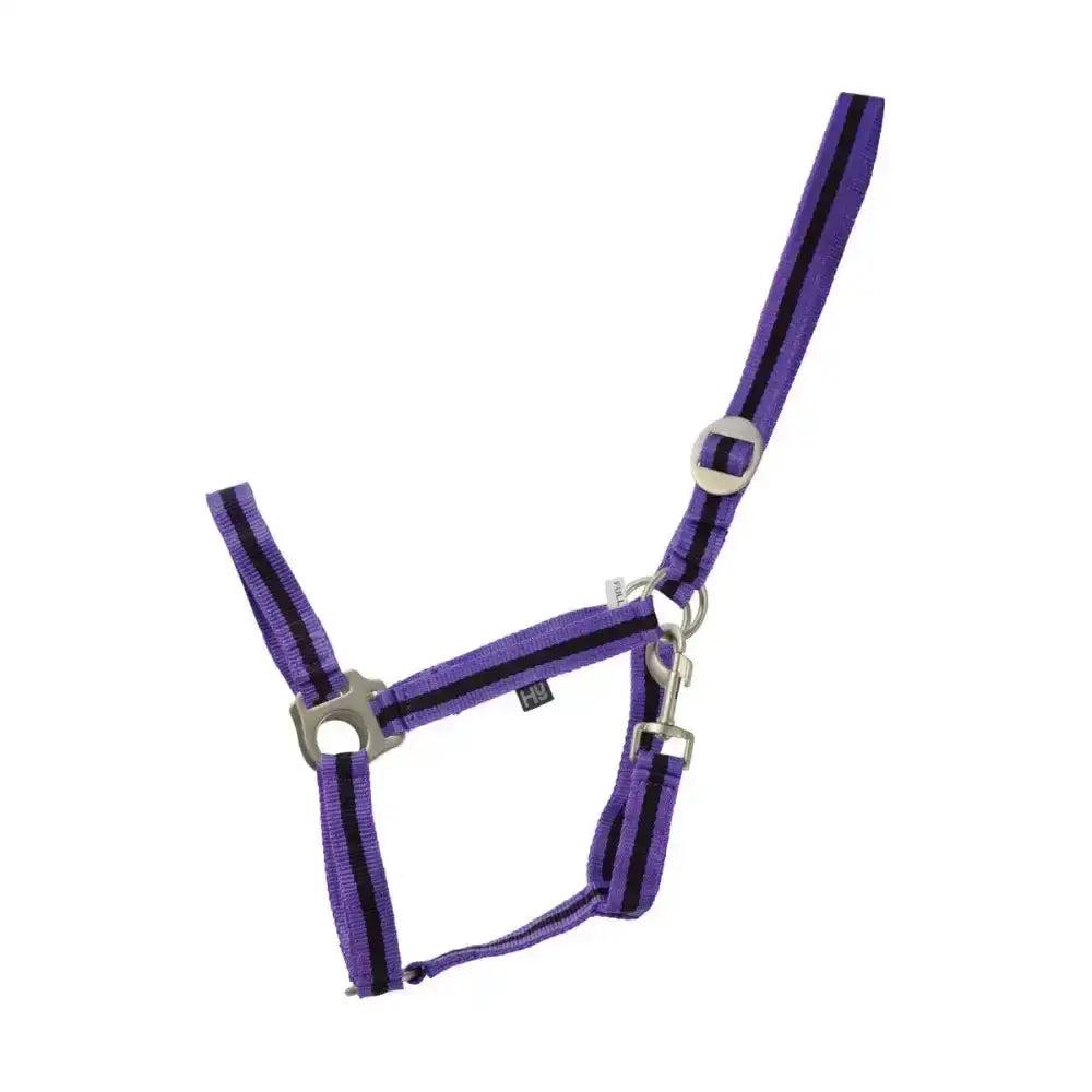 Purple and black striped nylon adjustable webbing head duo head collar with silver metal hardware from hy equestrian duo head