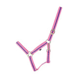 Pink and purple striped nylon duo head collar with silver hardware featuring adjustable webbing head for equestrian use