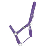 Purple nylon Hy Equestrian Economy Plus head collar with silver hardware, reinforced eyelet holes, and adjustable throat fastening