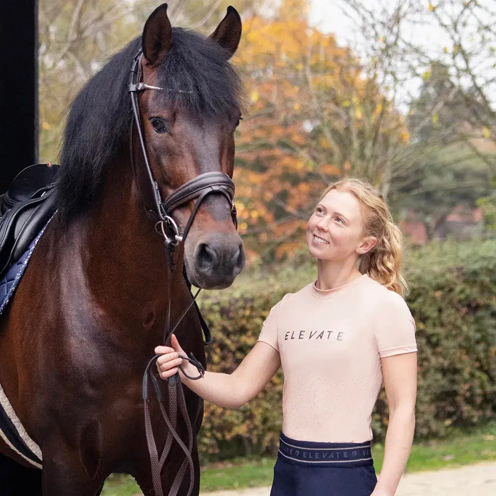 A dark brown horse with a glossy coat and black mane wearing a bridle featured on the hy equestrian elevate allure t-shirt