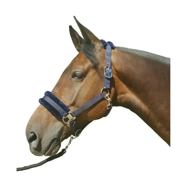 Hy Equestrian Faux Fur Padded Head Collar with Lead Rope Navy Cob Headcollar Sets