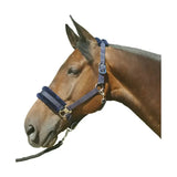 Hy Equestrian Faux Fur Padded Head Collar with Lead Rope Navy Cob Headcollar Sets