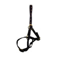 Black leather foal head collar with gold hardware and adjustable straps by hy equestrian perfect for foals