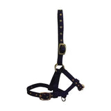 Dark blue nylon foal head collar with gold-toned hardware and adjustable three buckle webbing head collar by hy equestrian
