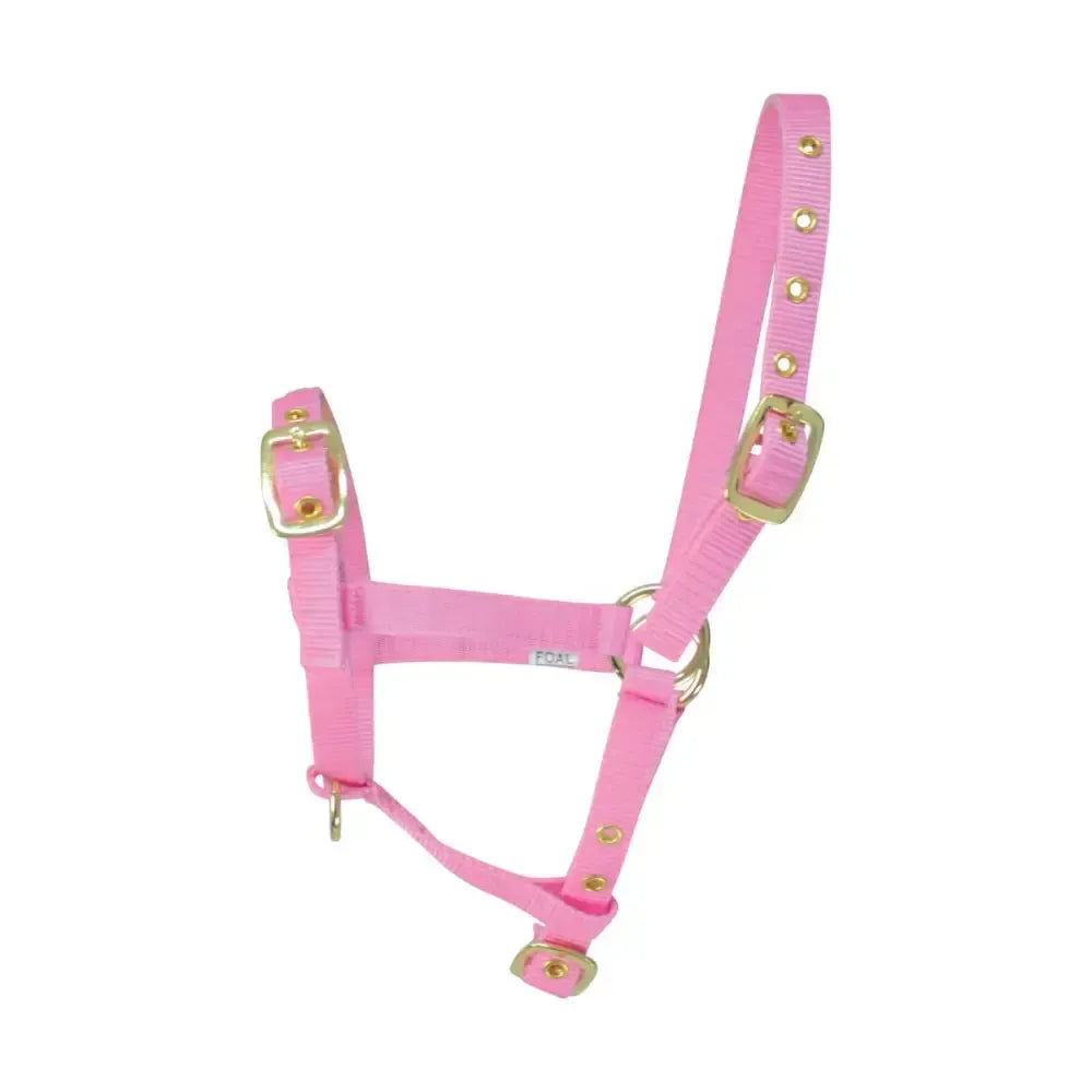 Hy Equestrian Foal Head Collar Pink Headcollars
