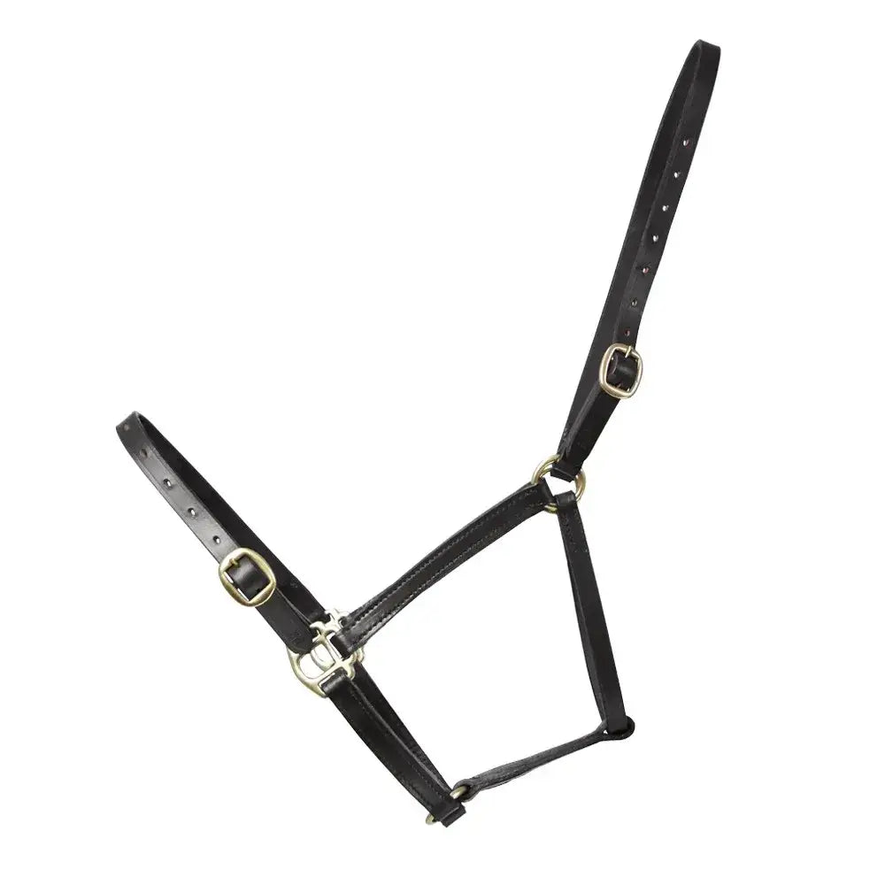 Black leather foal leather headcollars from hy equestrian with brass-colored metal buckles and hardware