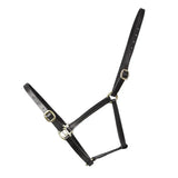 Black leather foal leather headcollars from hy equestrian with brass-colored metal buckles and hardware