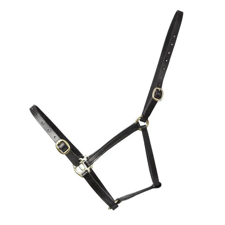Black leather foal leather headcollars from hy equestrian with brass-colored metal buckles and hardware