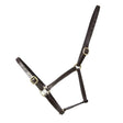 Dark brown leather foal leather headcollar with brass hardware from hy equestrian perfect for young horses