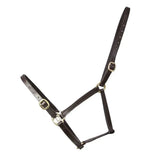 Dark brown leather foal leather headcollar with brass hardware from hy equestrian perfect for young horses