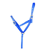Bright blue nylon foal slip halter with silver metal buckles and central ring by hy equestrian for foal training