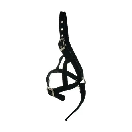 Black suede equestrian foal slip halter with silver metal buckles and d-rings for easy adjustment and secure fit