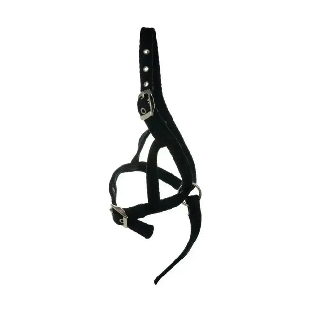 Black suede equestrian foal slip halter with silver metal buckles and d-rings for easy adjustment and secure fit