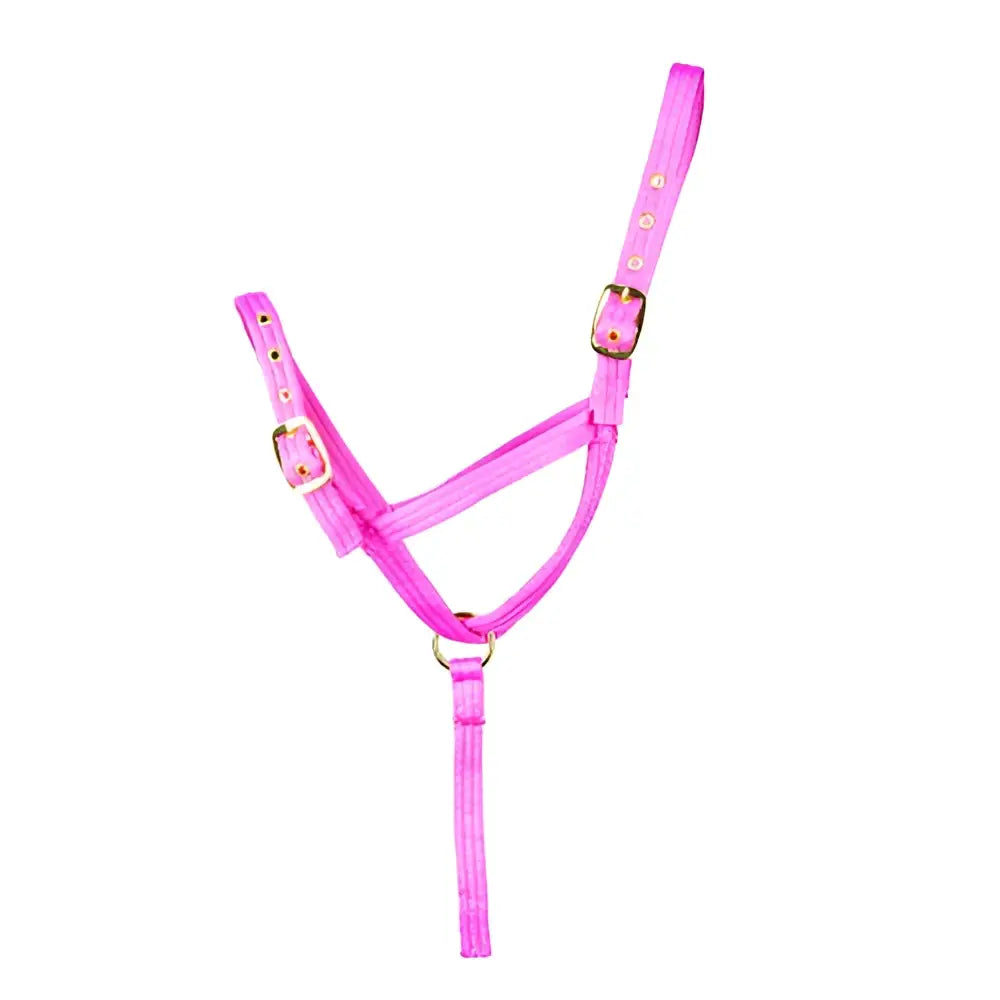 Pink nylon foal slip halter with gold-tone buckles and central ring for easy adjustment by Hy Equestrian